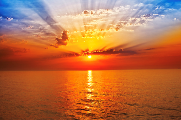"Sunrise, Sunset: A New King on the Block"