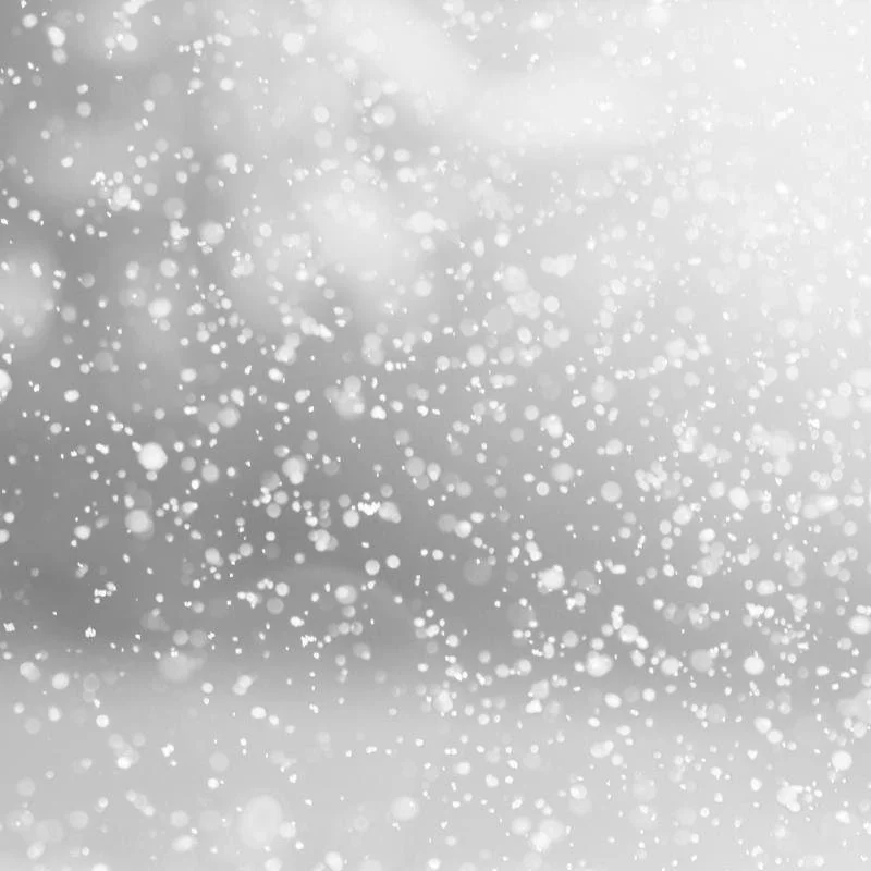  ALL CHURCH ACTIVITIES CANCELLED  Sunday, February 01, 2026