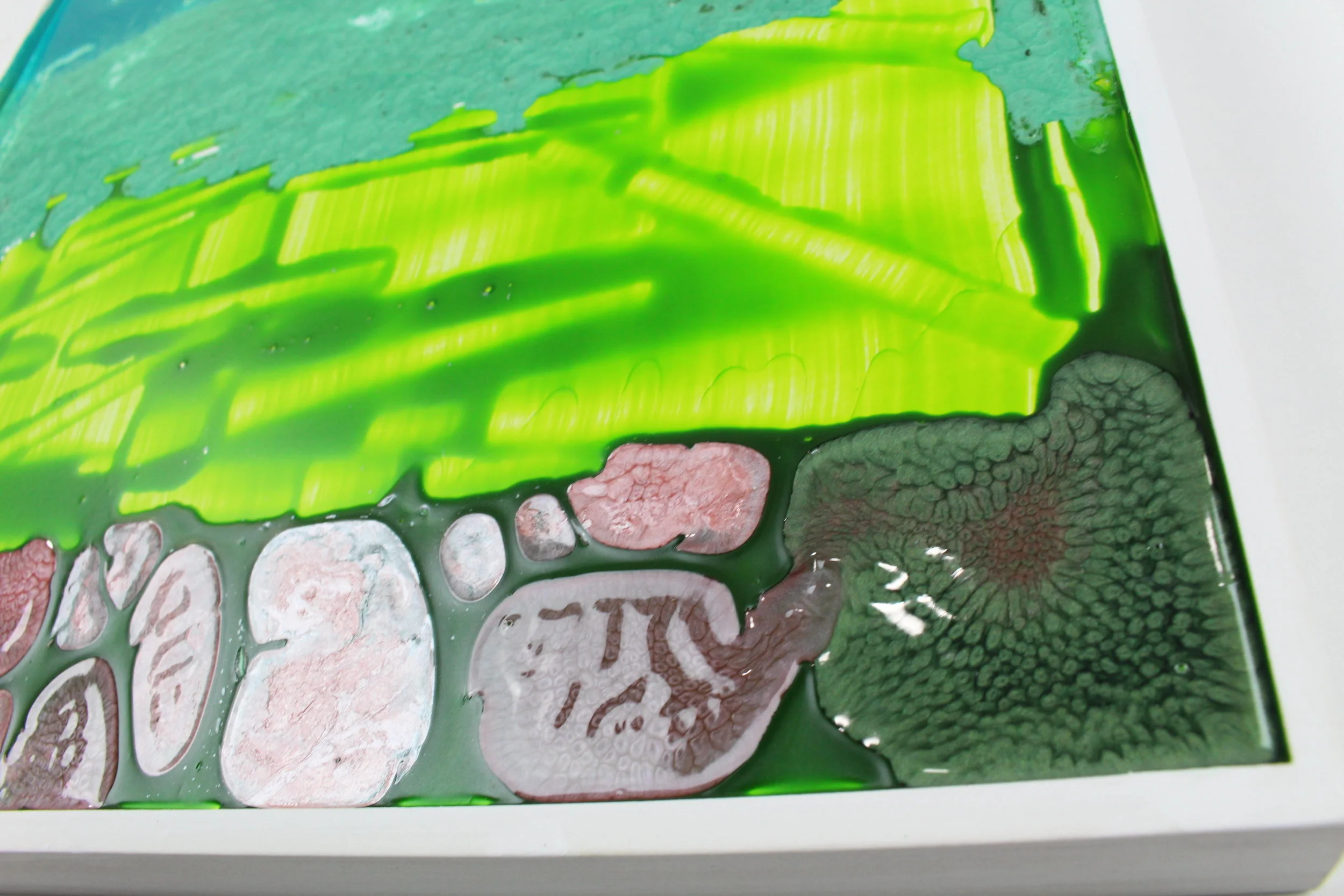 Enchanted Medow2.JPG