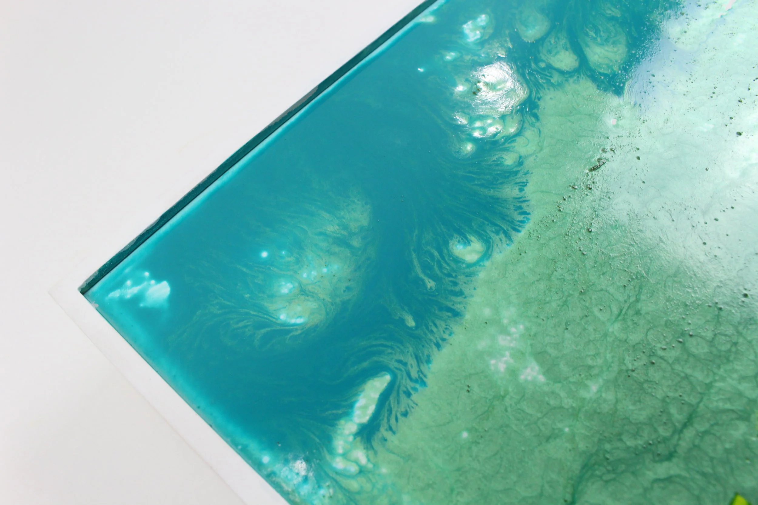 Enchanted Medow6.JPG