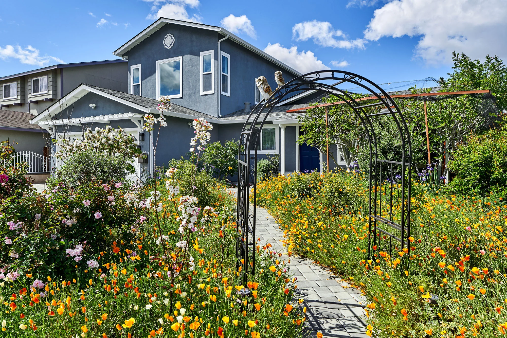 Thriving front yard landscape which helped anchor the home.