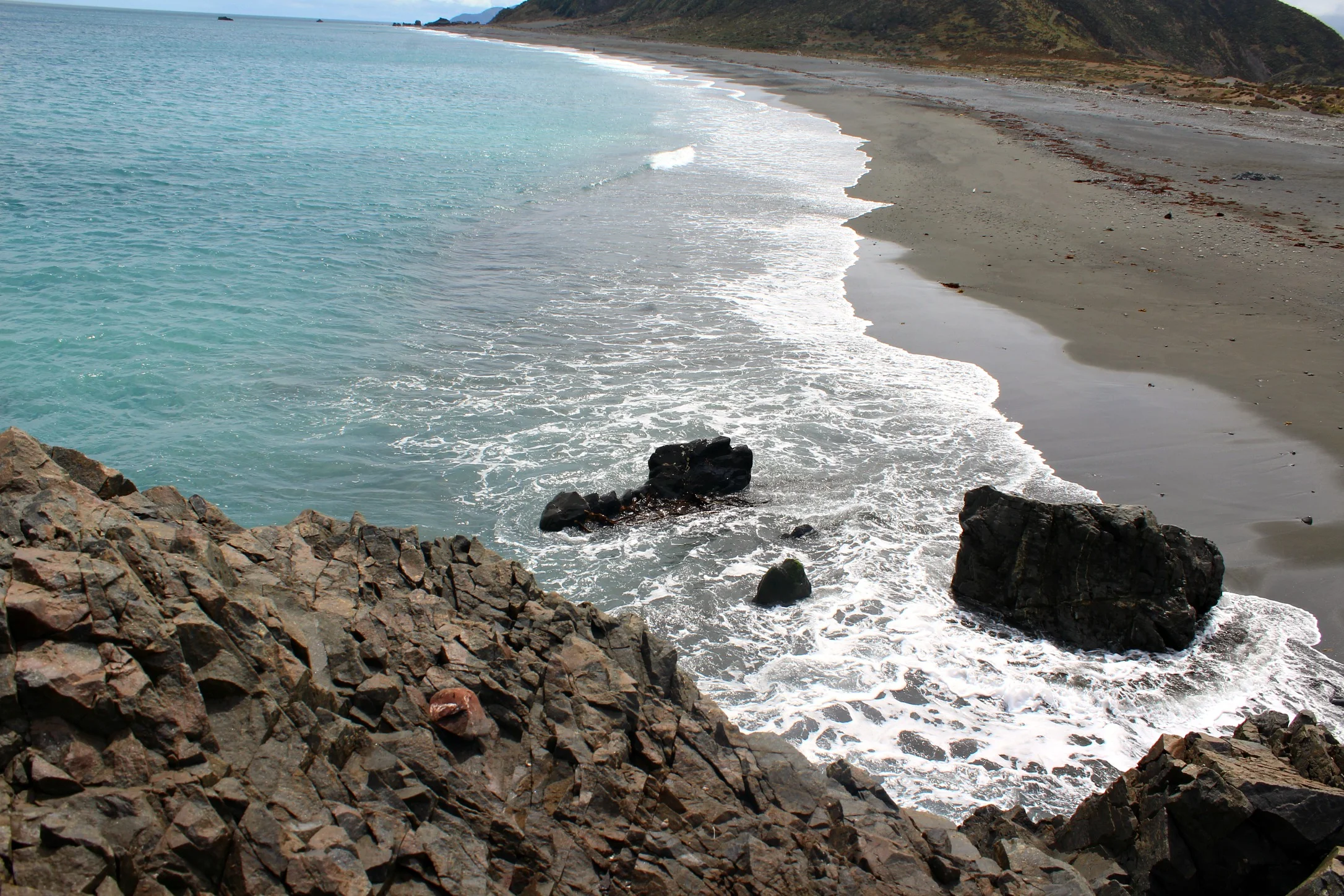 IMG_88652.jpg