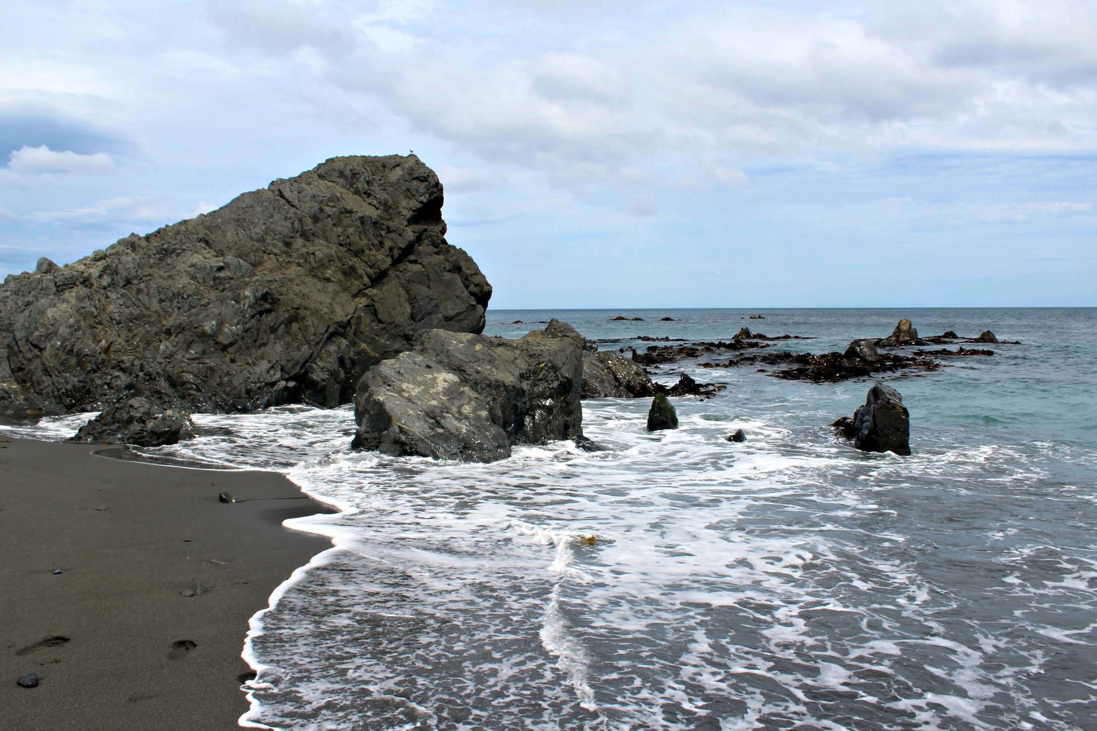 IMG_88602.jpg