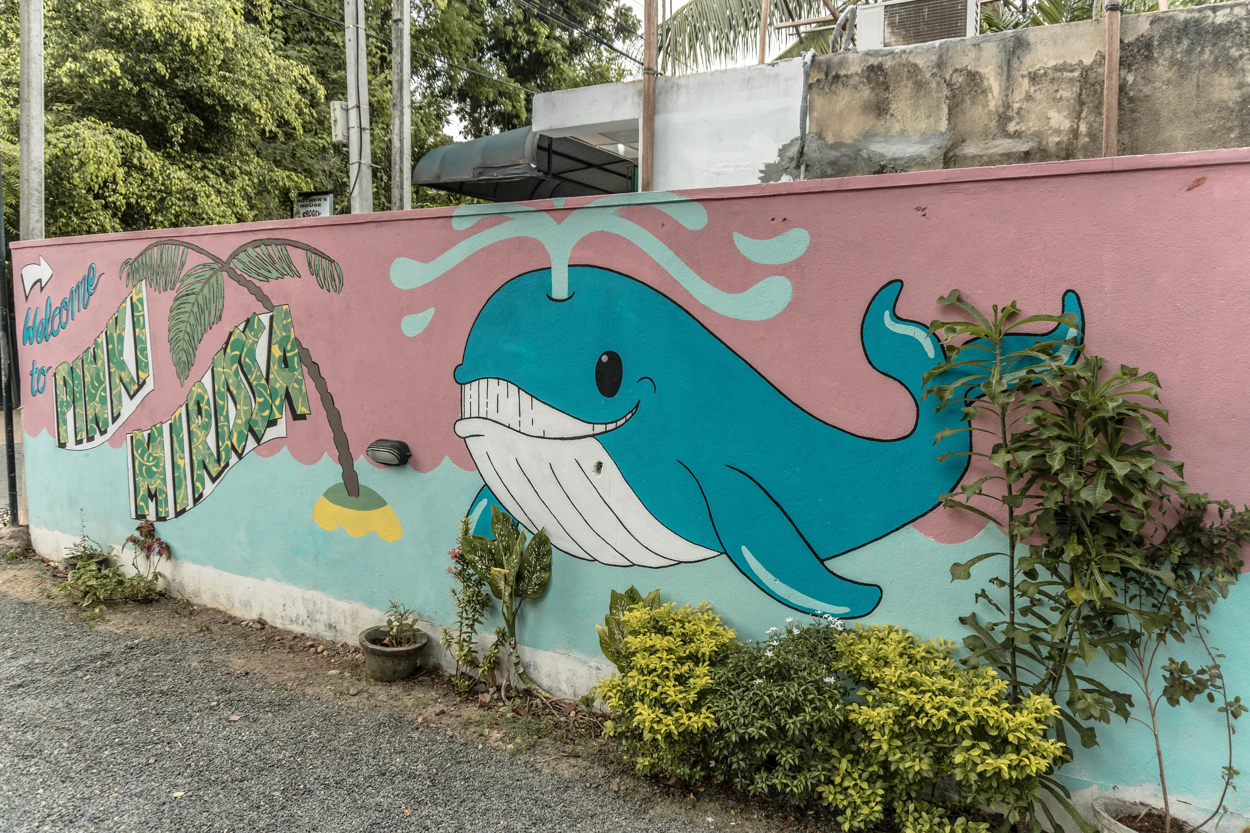 a street art guide to Mirissa, Sri Lanka 11 of the prettiest painted