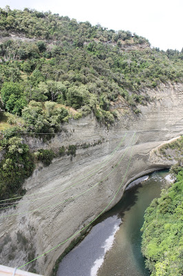 a waterhole in New Zealand