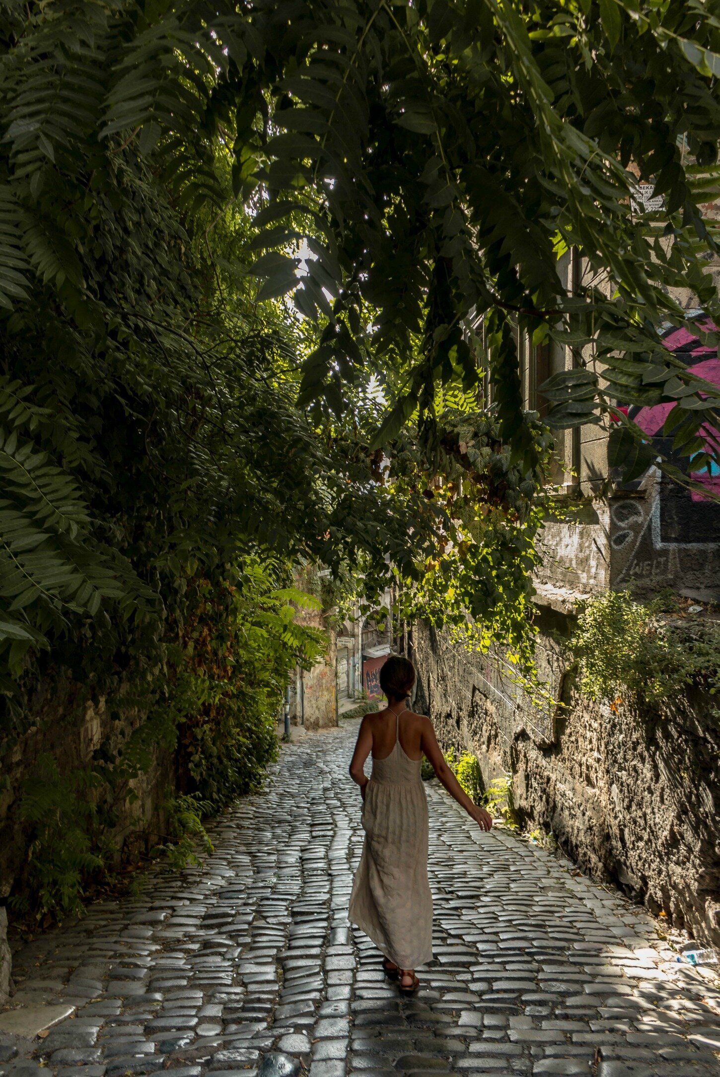 a passageway covered by leaves, Istanbul, Turkey