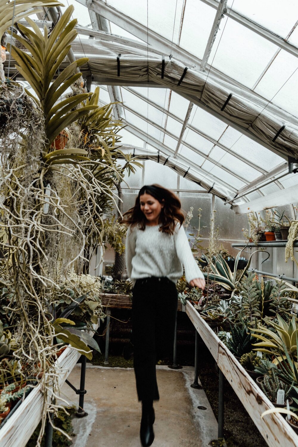 the greenhouse at Newfields {Indianapolis Museum of Art}, Indianapolis