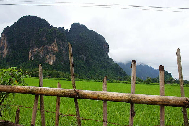 rice fields in Laos