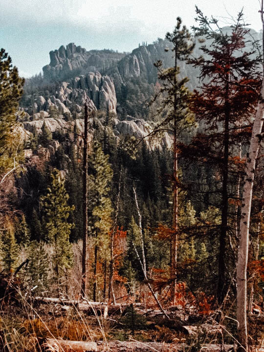 hiking in the blackhills