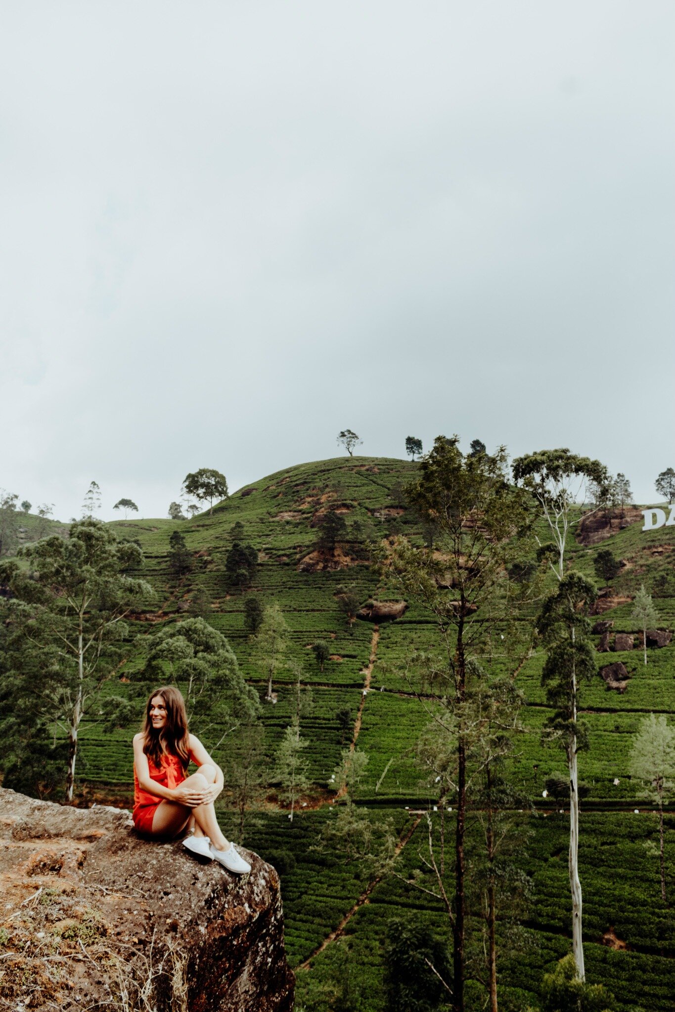 Looking out at the tea fields near Nuwara Eliya, Sri Lanka