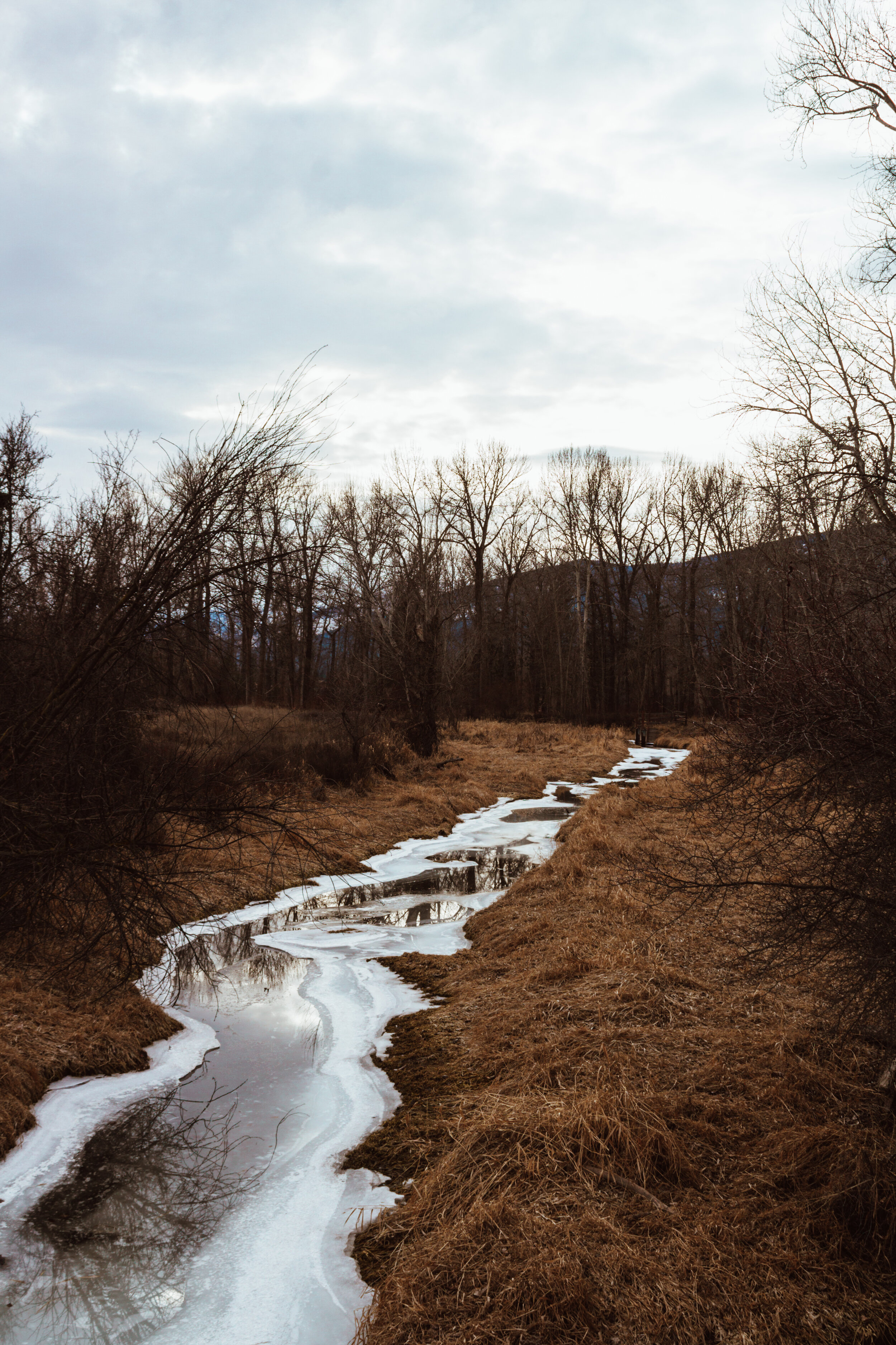 Bitter Root Valley nearby trails