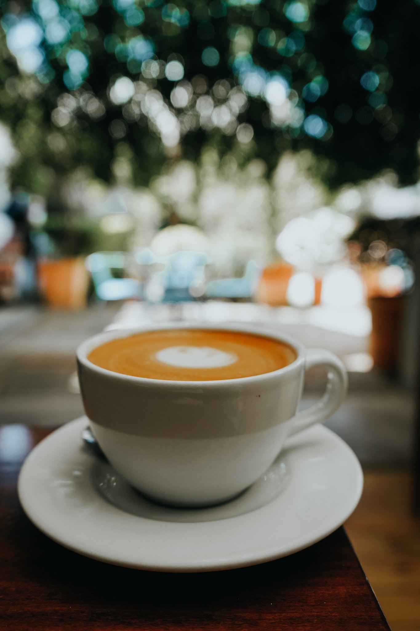 best cafes in San Jose, Costa Rica