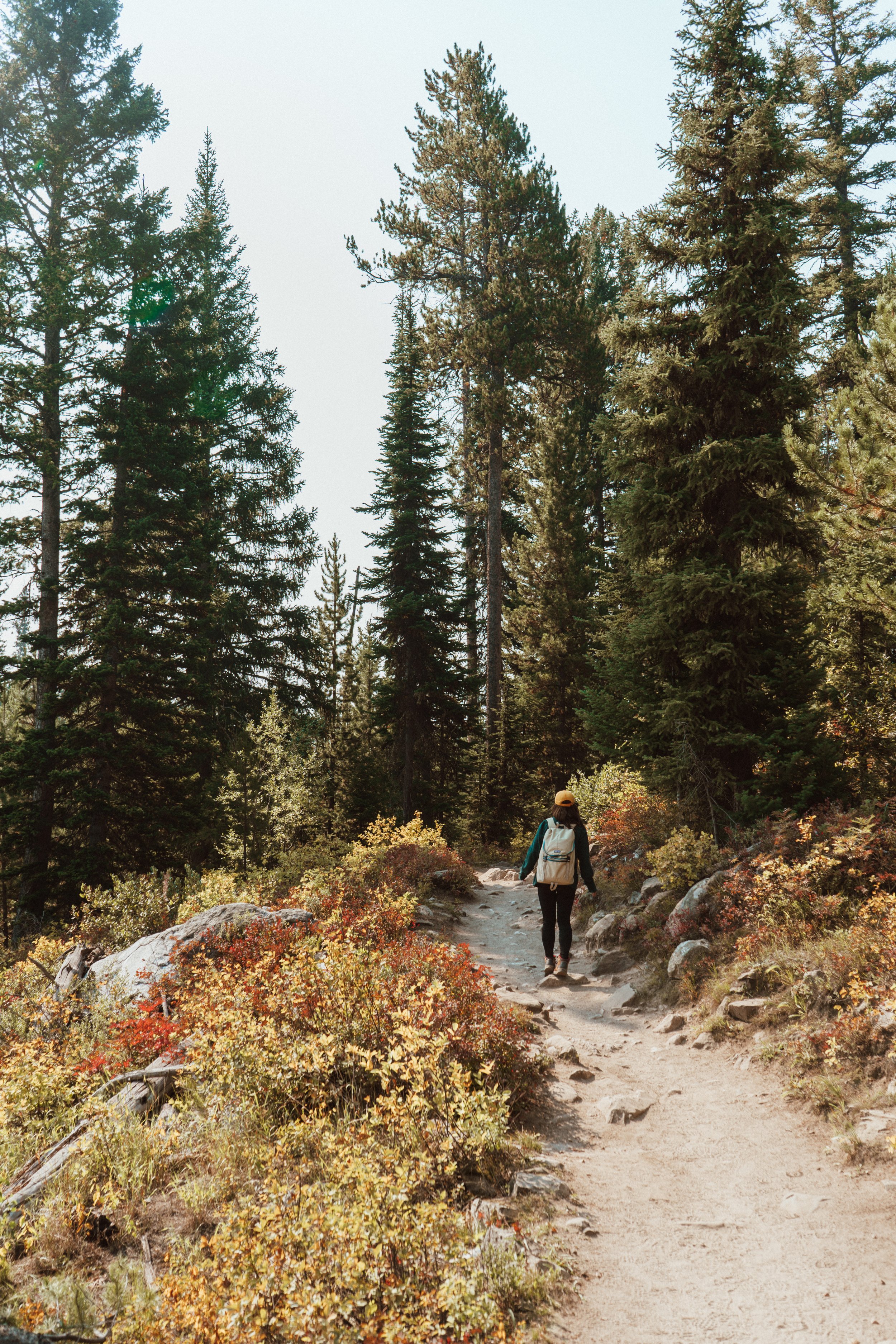 best trails in Grand Tetons
