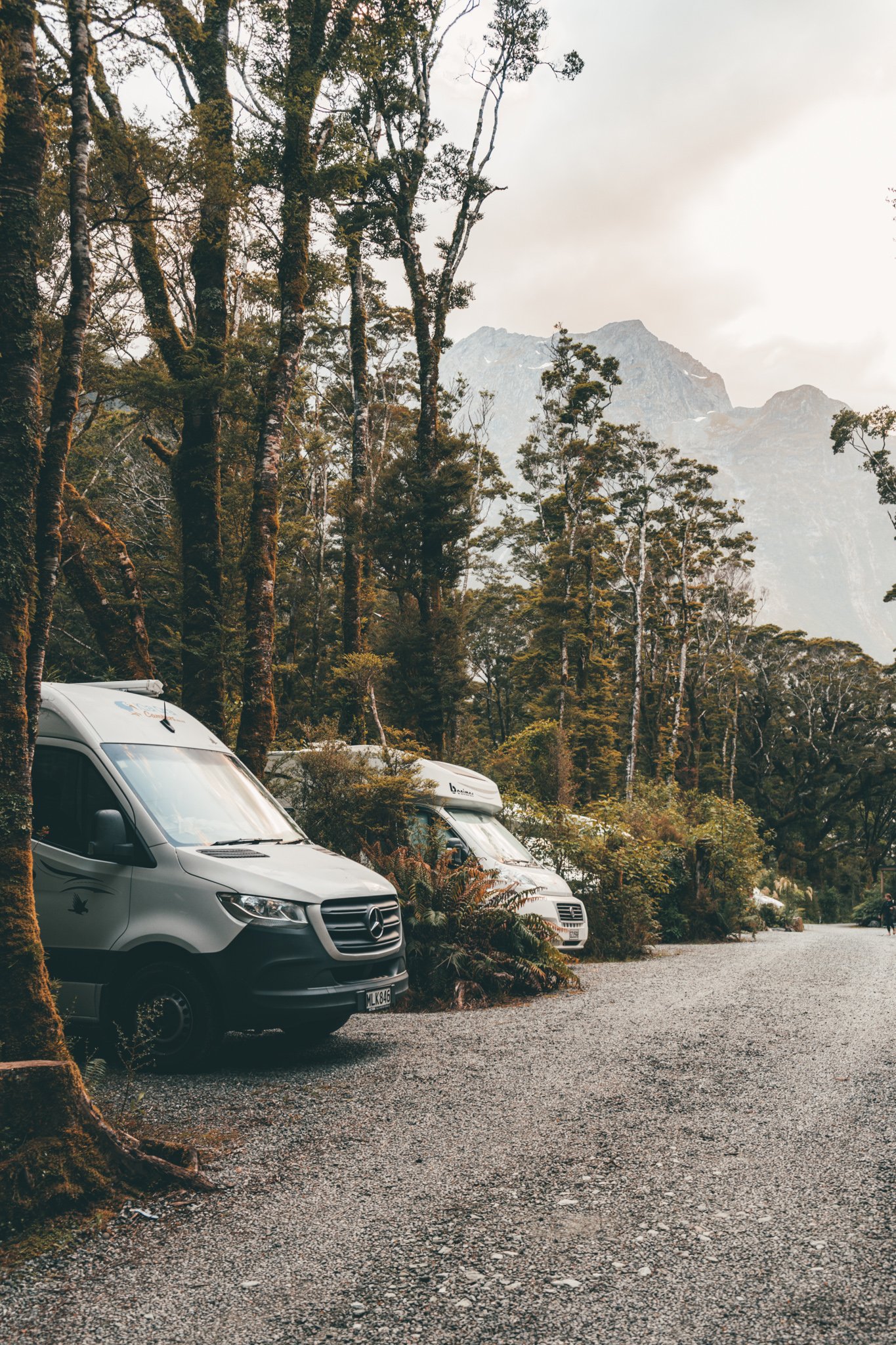 Campervan's parked at a campsite