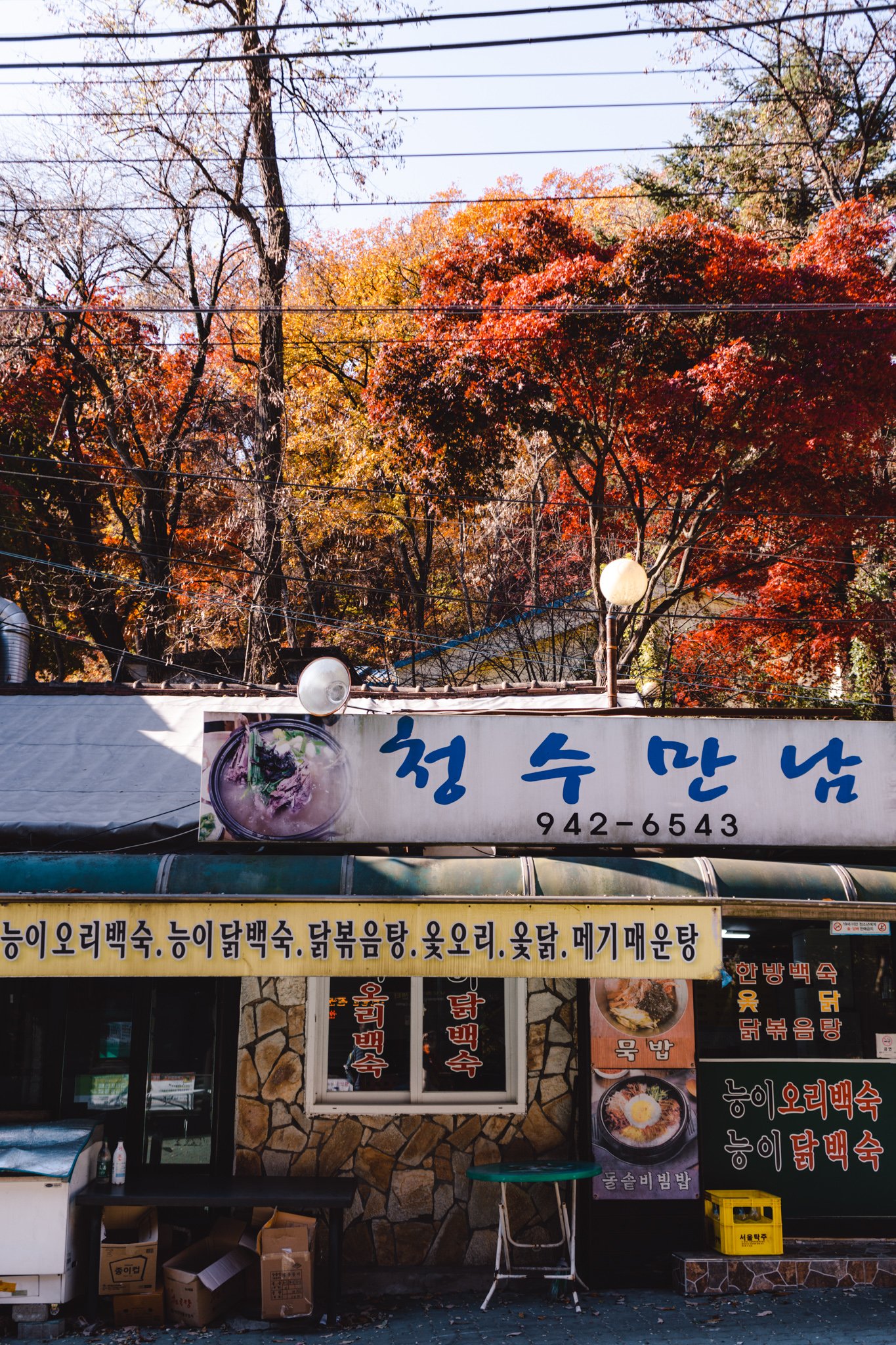 best vegetarian restaurants in Seoul