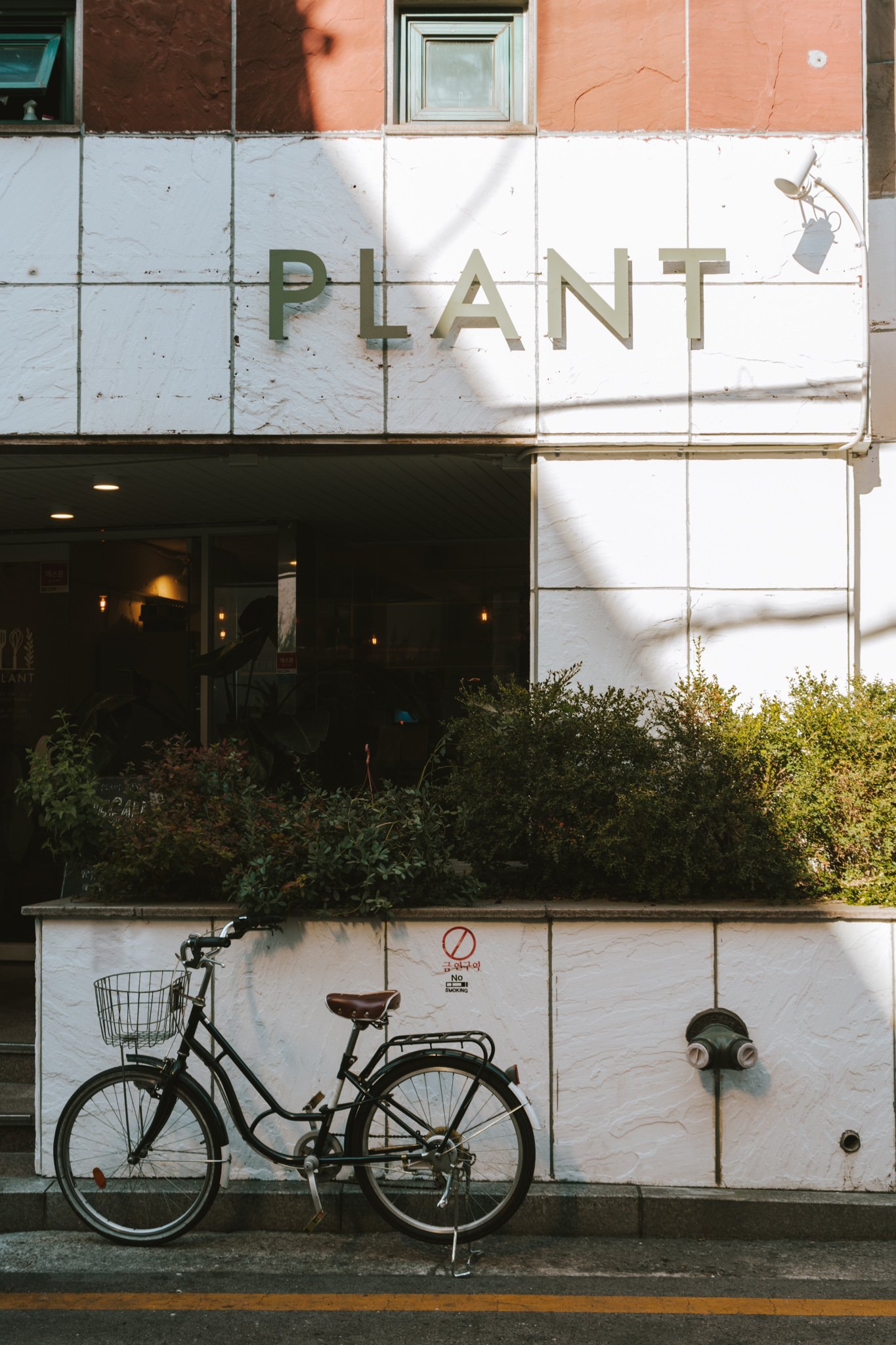 plant restaurant, Seoul, South Korea