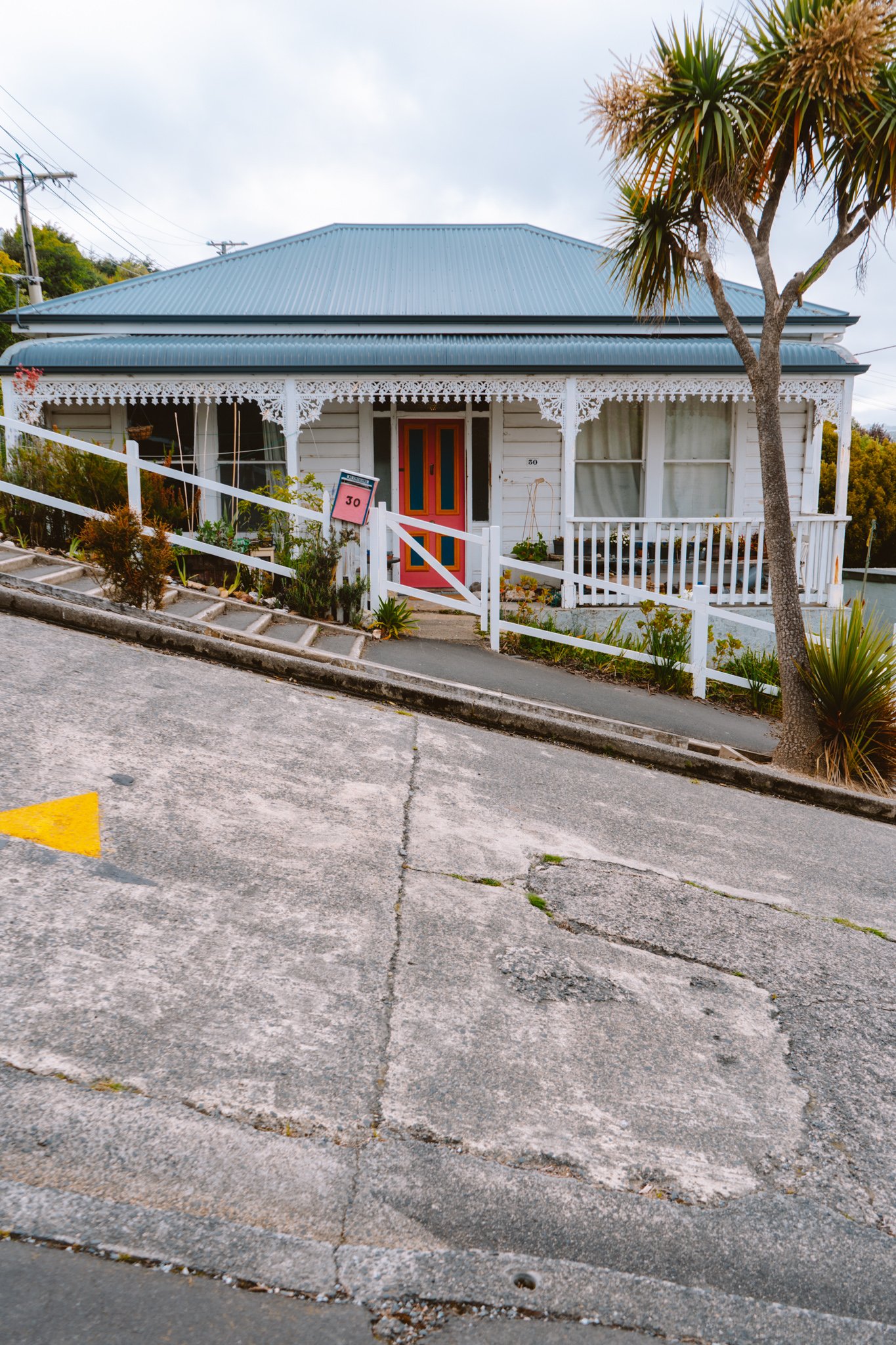 world's steepest street in Dunedin