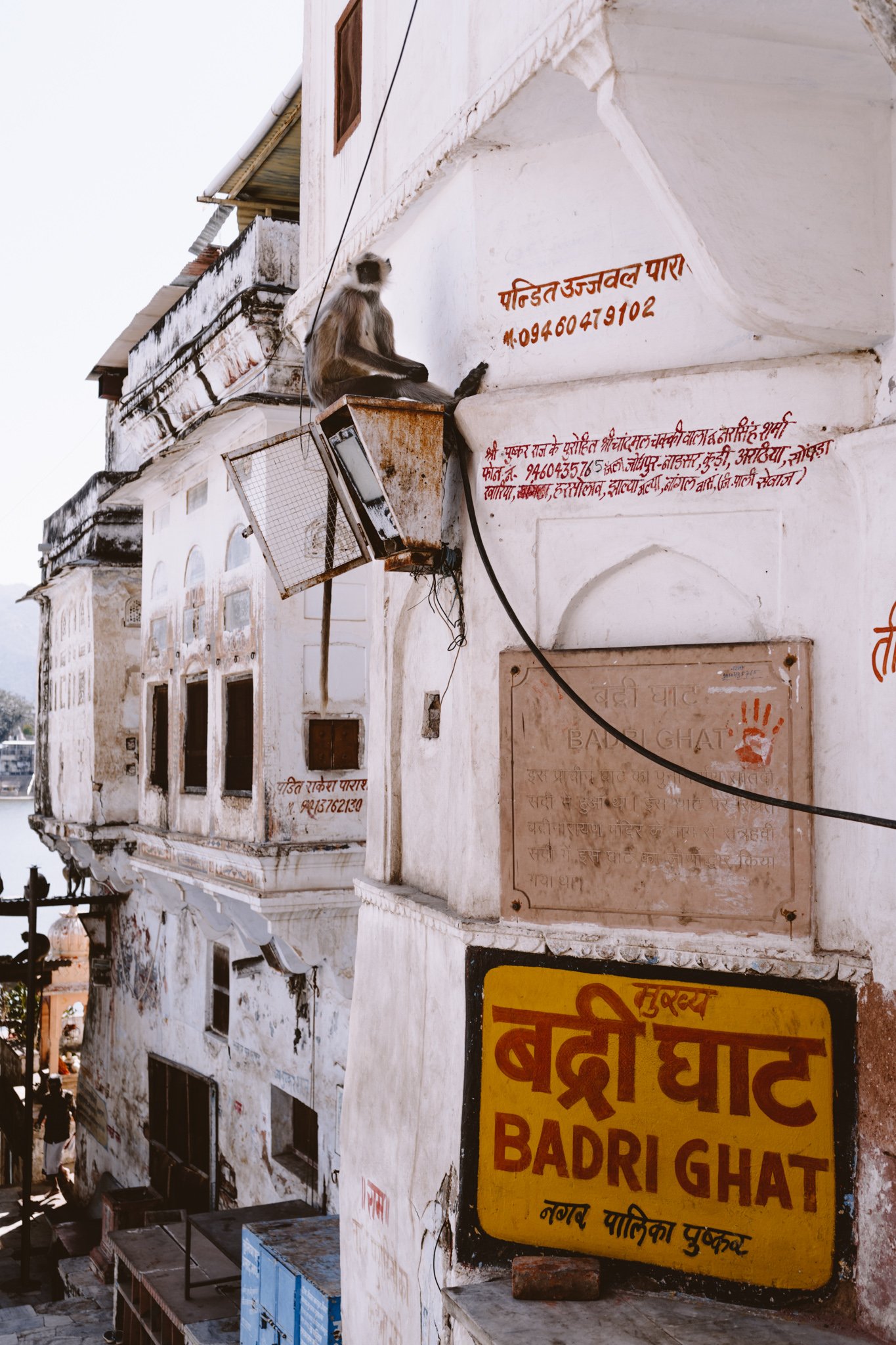 Unique Things to Do in Pushkar