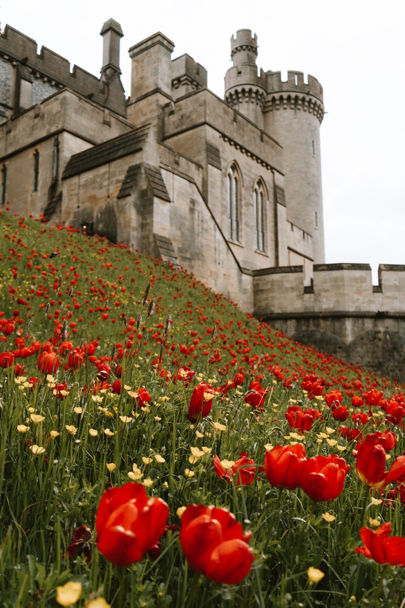 Arundel Castle Tulip Festival