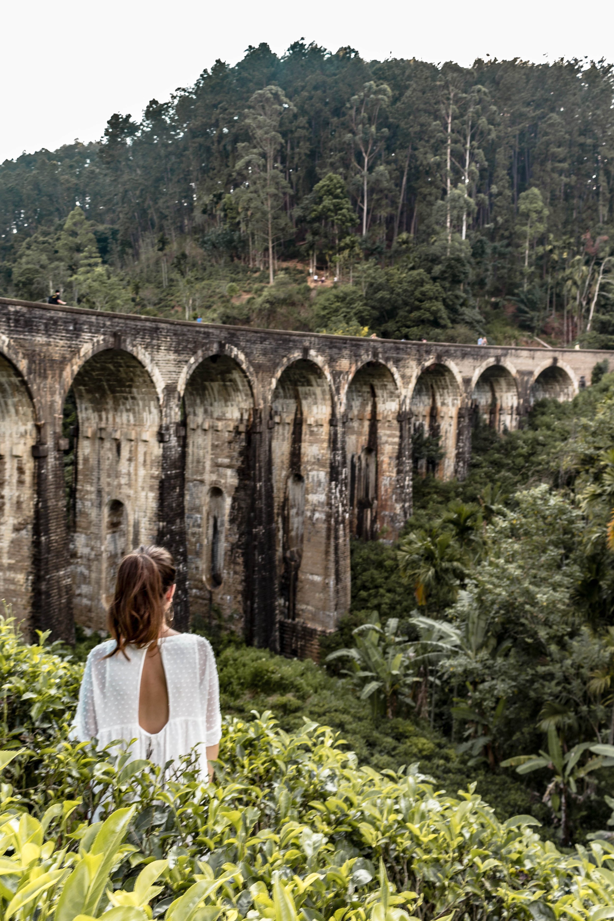 Looking out at the famous railway bridge in Ella, Sri Lanka