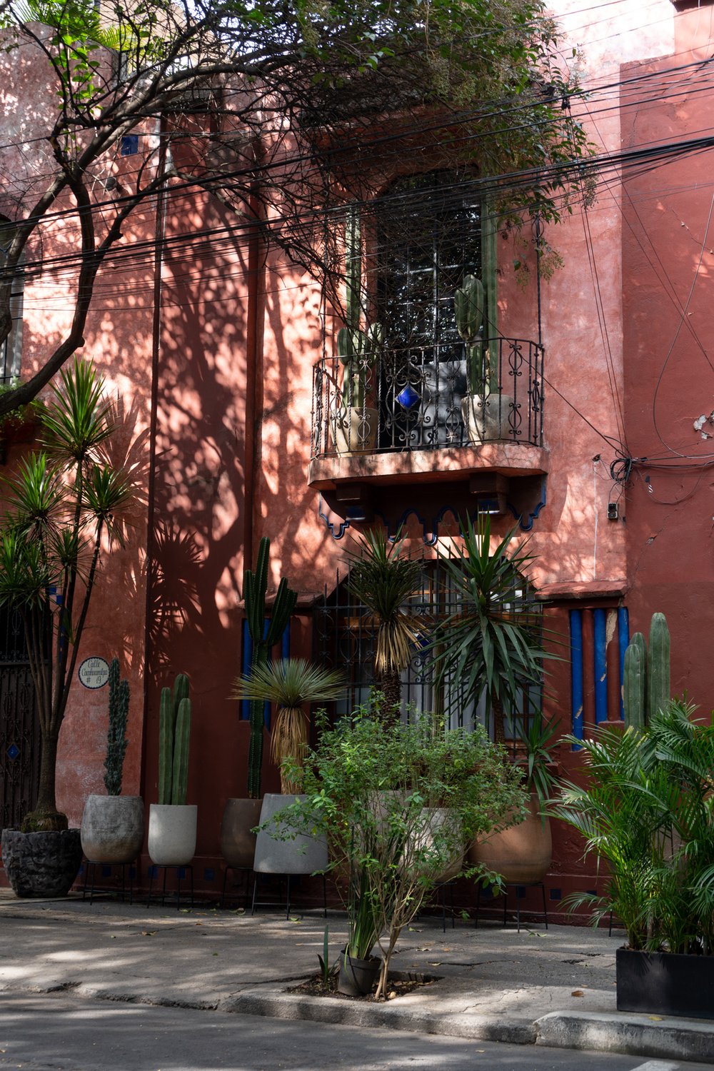 streets of Roma and Condesa in Mexico City