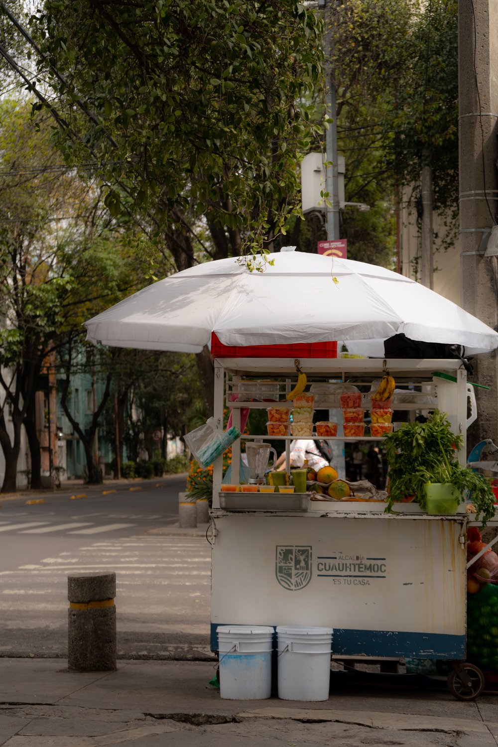 street food in Mexico City