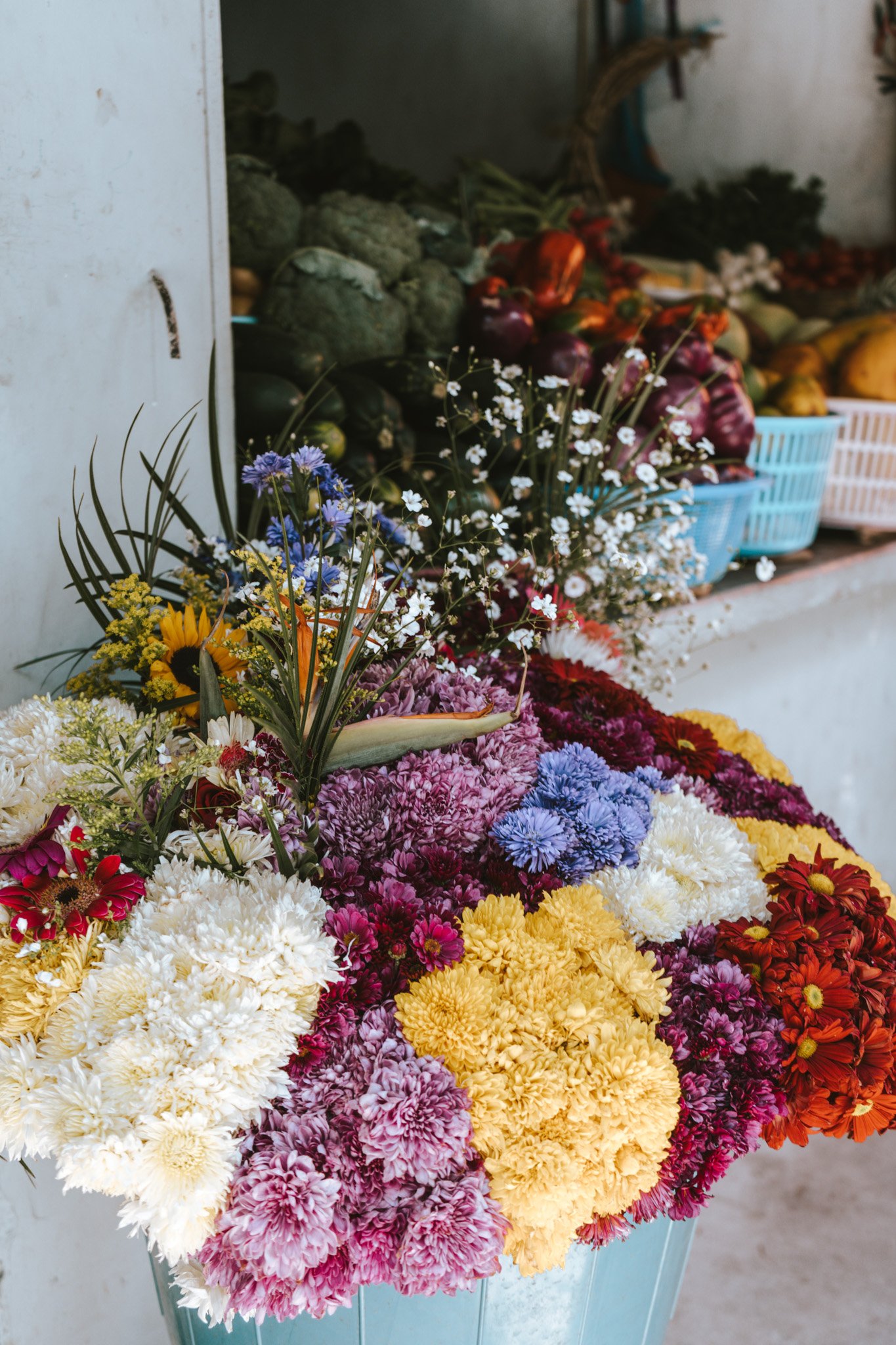 flower market in San Marcos