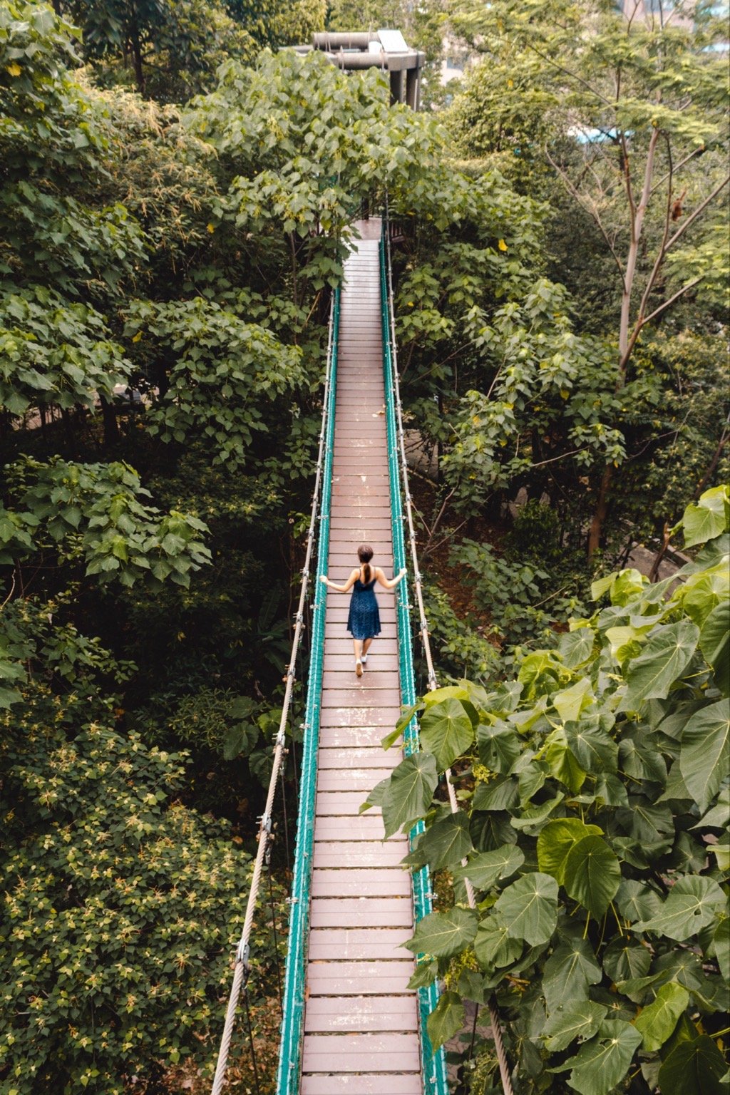 High bridge at Kuala Lumpur Forest Eco Park | Source: sillylittlekiwi.com