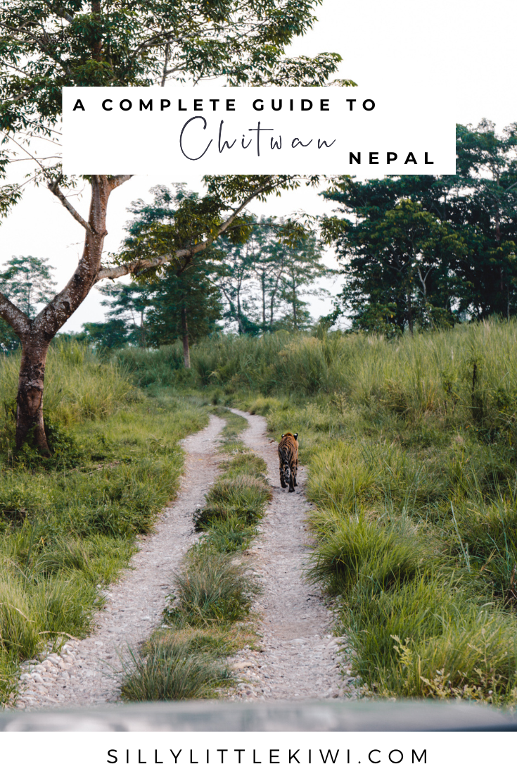 chitwan safari nepal