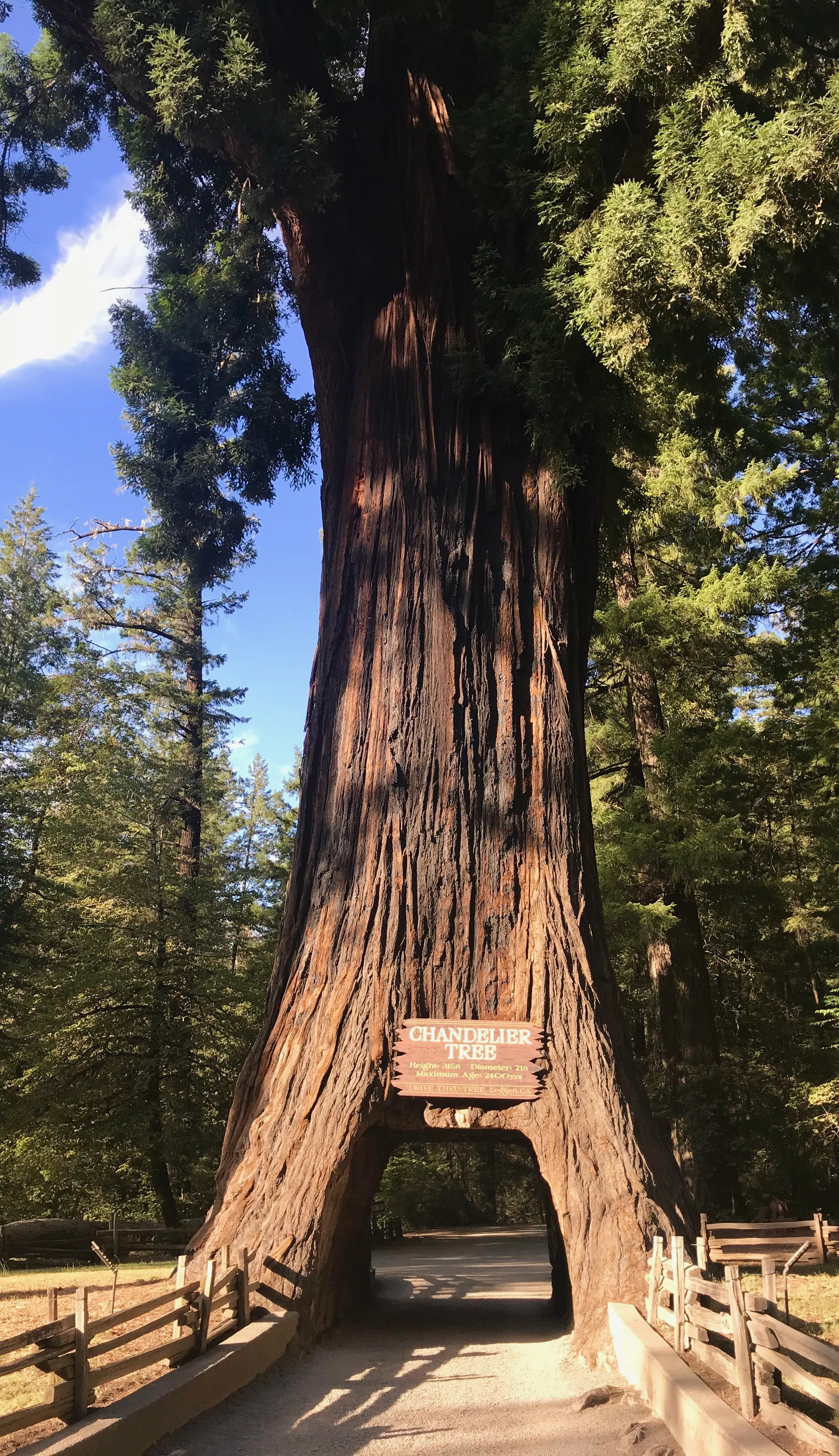 PCH - Day 4 (San Francisco to Eureka CA)