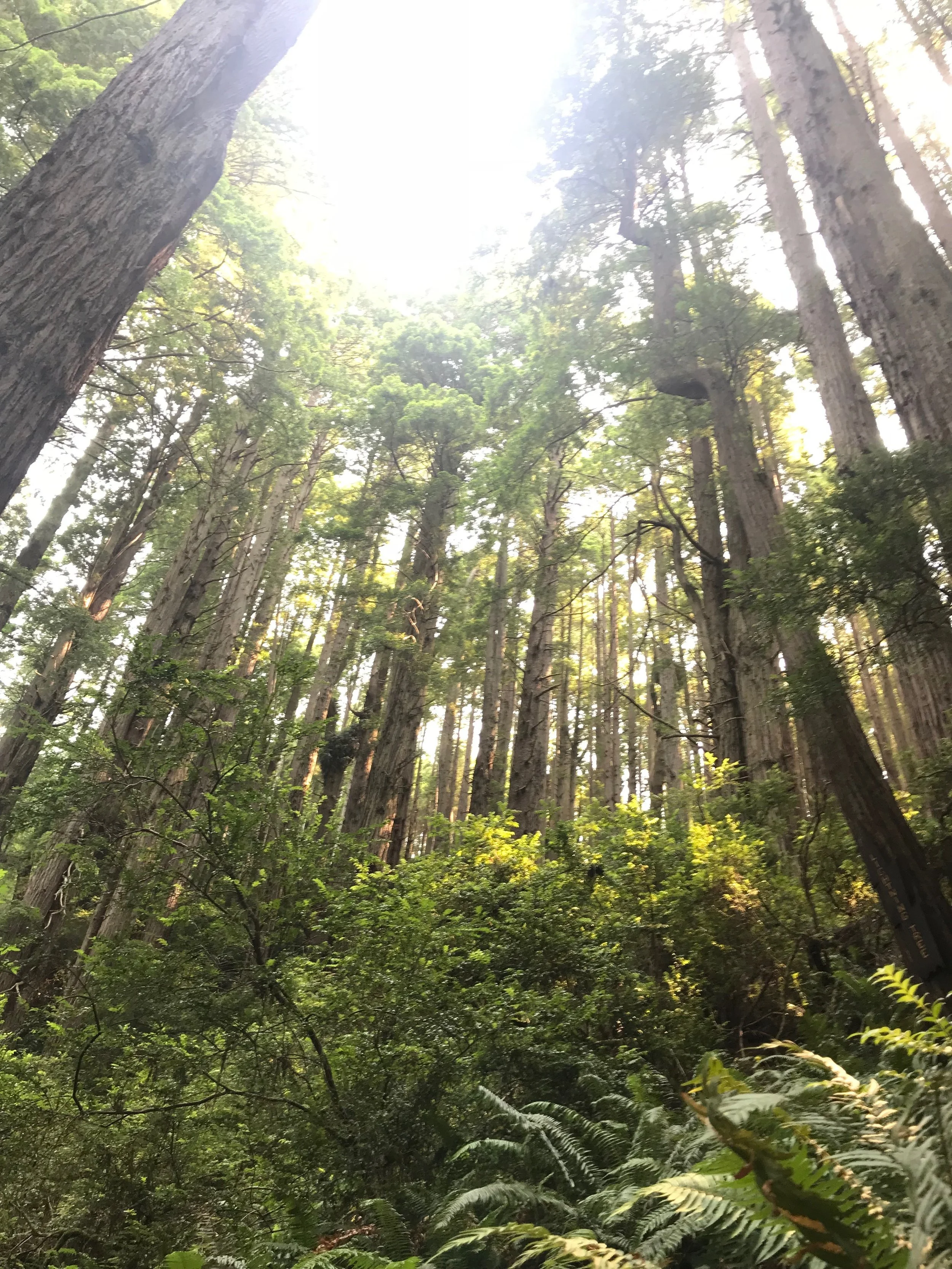 PCH - Day 5 (Eureka CA to Portland OR)