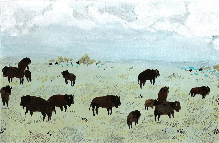 buffalo.jpg