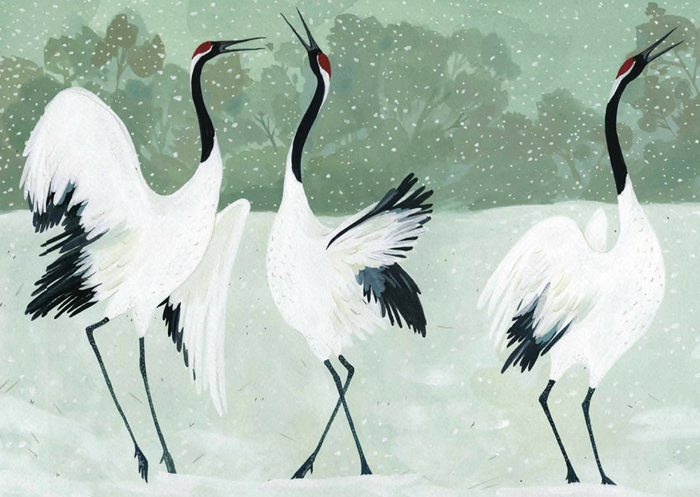 cranes.jpg