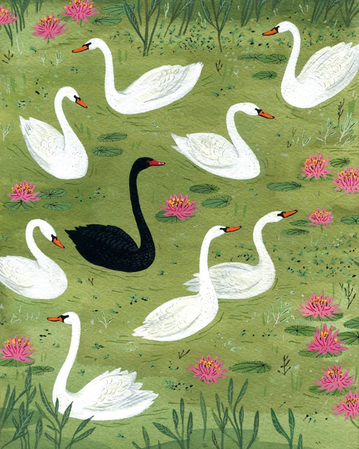 swans.jpg