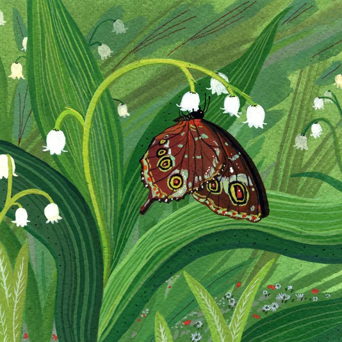 butterfly.jpg