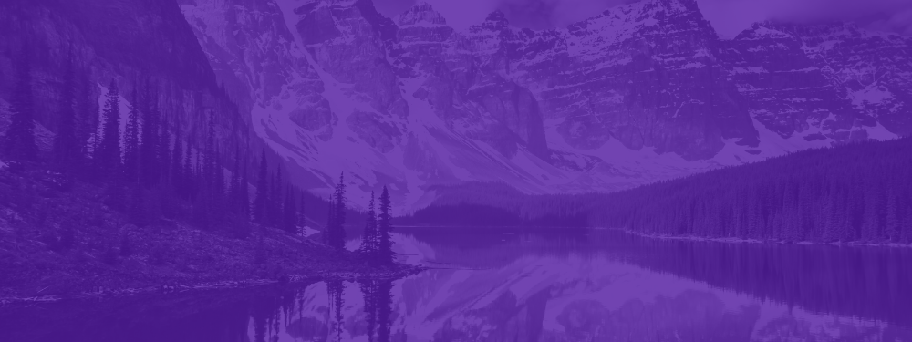 CWn Banner.png