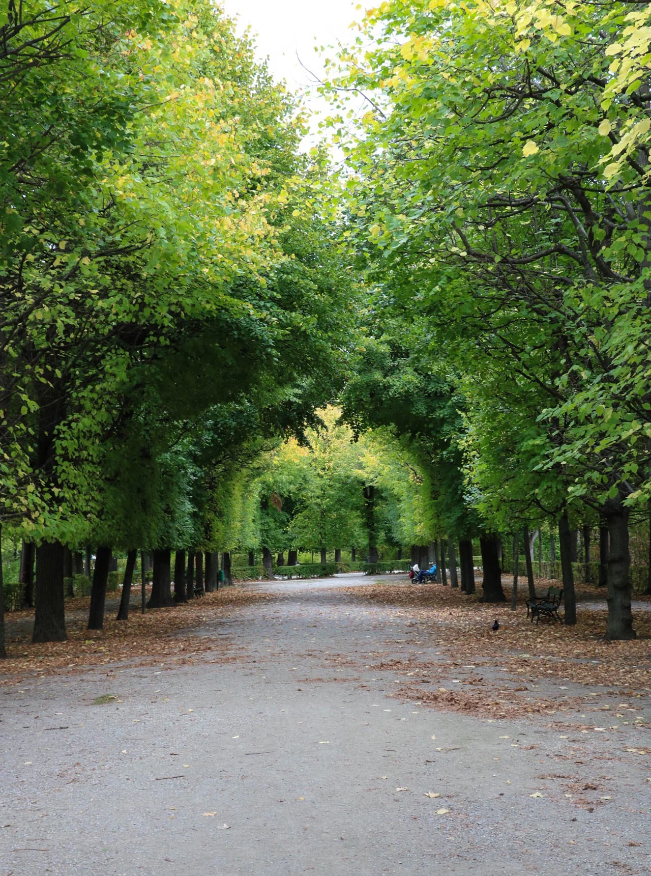Gardens of Schönbrunn Palace 