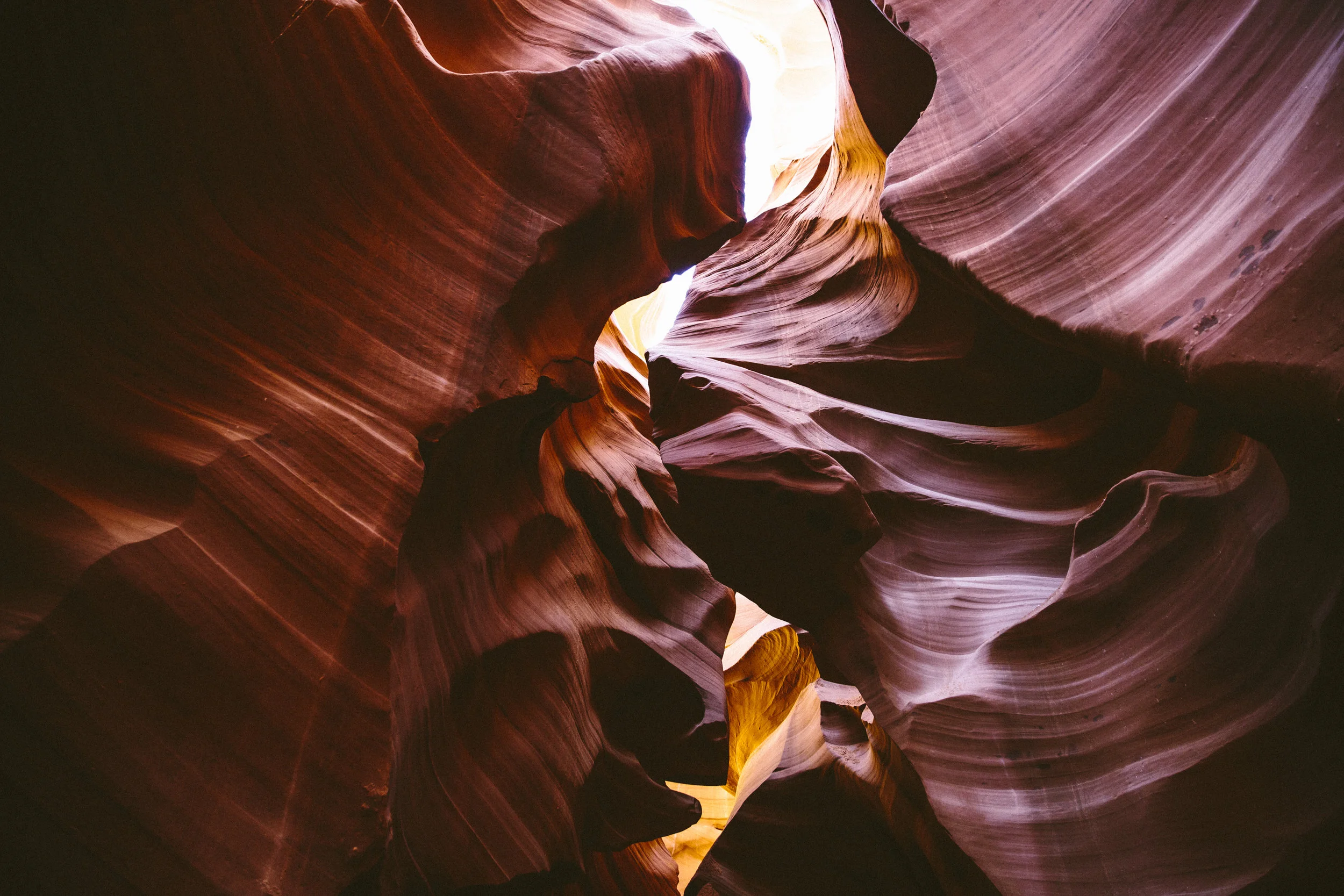 Trip-33.jpg