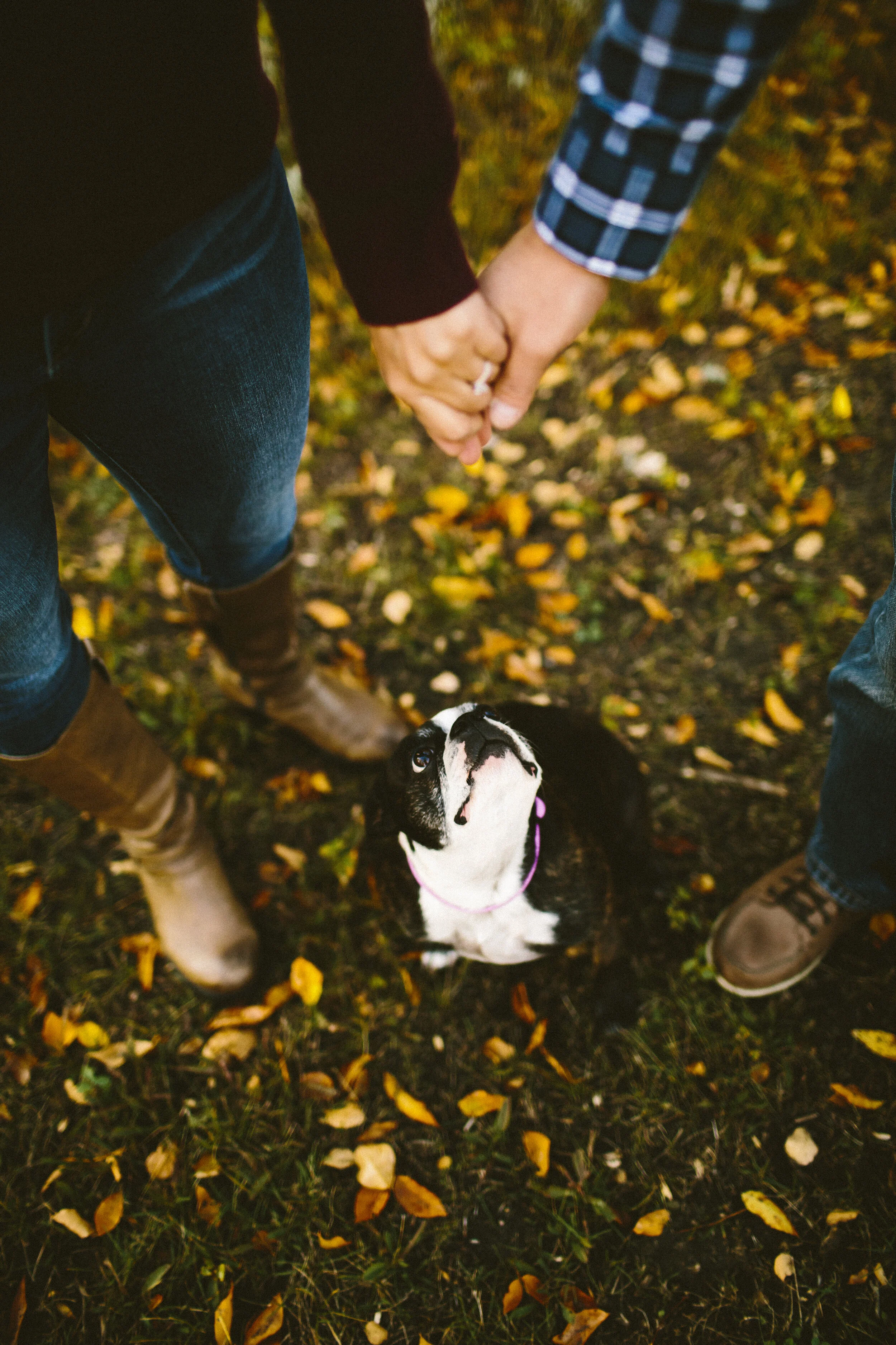 Jake+Bethanie-1.jpg