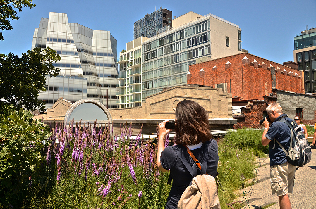 High Line Park, the trendy place to walk in New York!