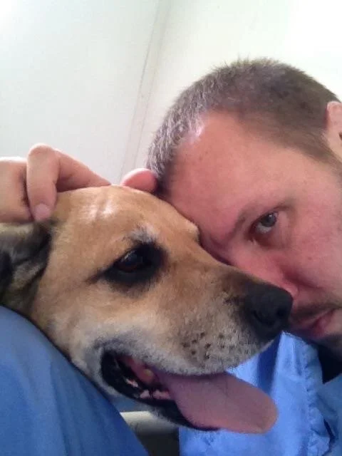 Board Of Trustees The Animal Refuge Center Arc