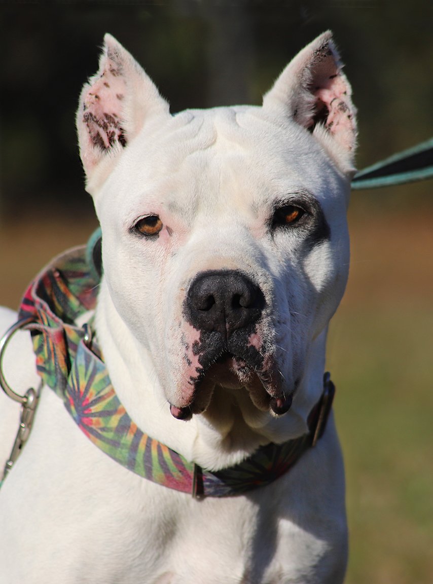 Zero - Multi-Year Resident!