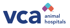 VCA.png