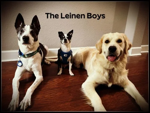Leinen Pups.jpeg