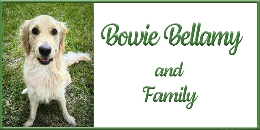 Bowie Bellamy Logo 2026 copy.jpg
