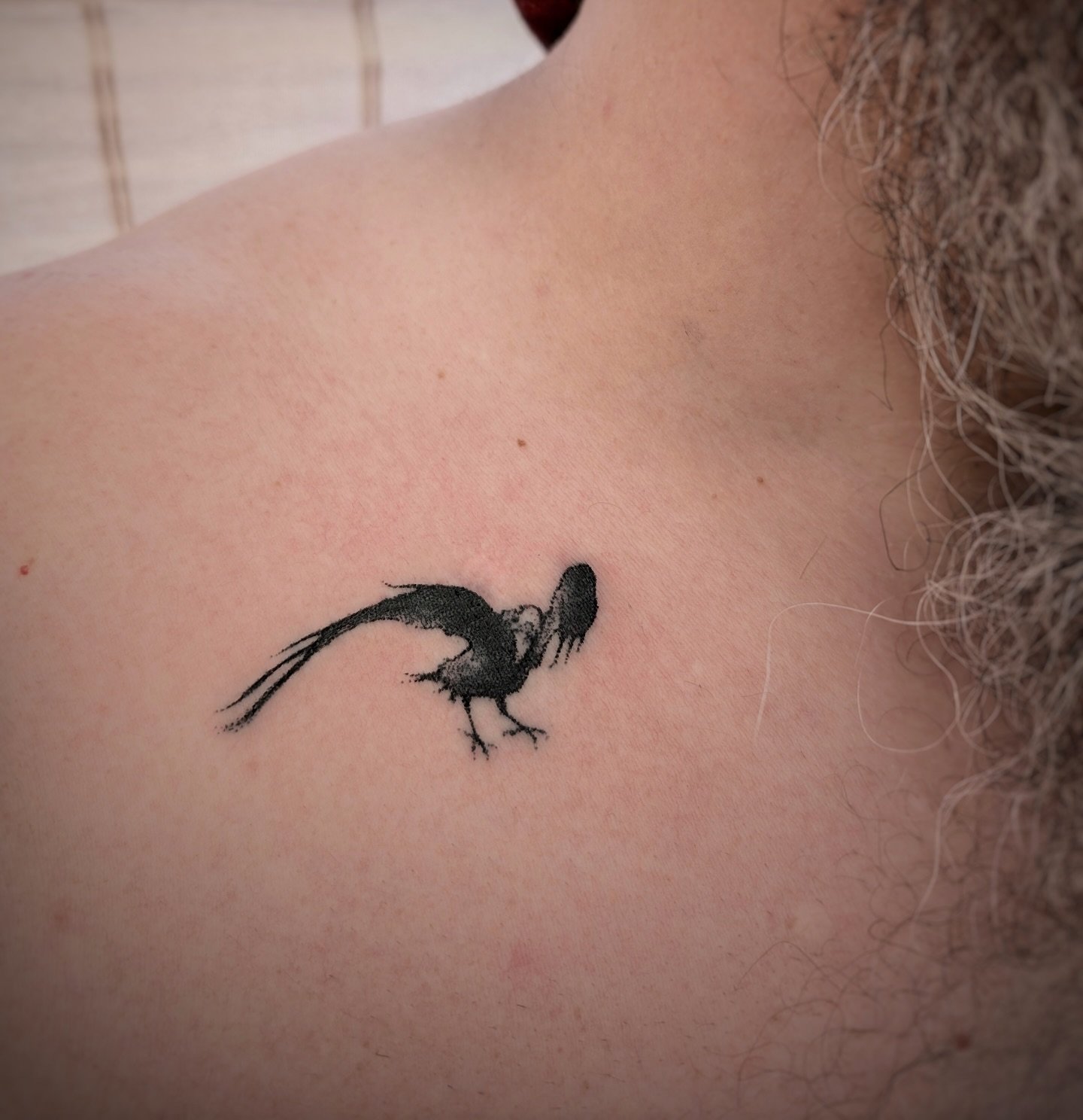 Handpoke tattoos at CoM24 by @sajotattoo and @spiegelblatt (raven design by @oebstfliege, healed Knut by @tici.flaam ). Thousand thanks for your patience and joy 🙏 And especially @thelegendarydice for the incredible awesome handpoke antlers!!🥰😱
.