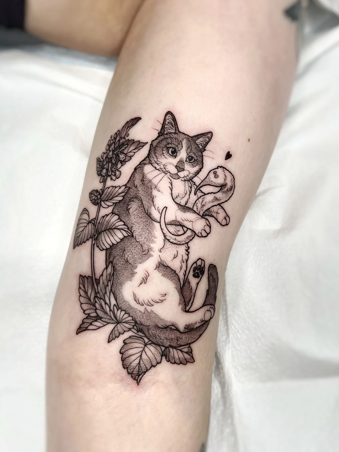 Here is a selection of some animal and pet tattoos I have done 💖Booking for Berlin and NYC starts tomorrow and I will post the online form in my bio tonight at midnight for you to fill out ☺️ I’m looking forward to your ideas! 
•
•
&