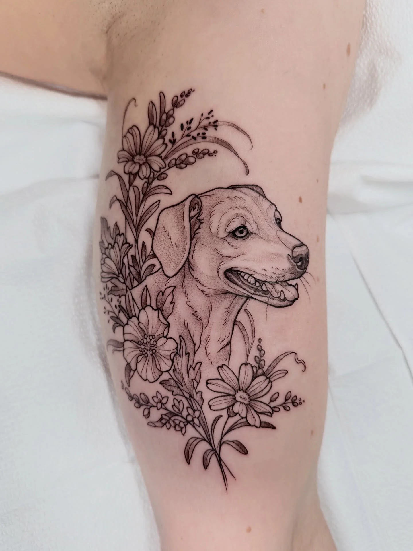 Happy Sunday 🌞 Here are some reposts and some new tattoos from this year! It&rsquo;s been all about cute animal portraits and lovely clients, and I&rsquo;m excited for more in the new year ☺️💖
&bull;
&bull;
&bull;
#animalportraits #puppies #smallta