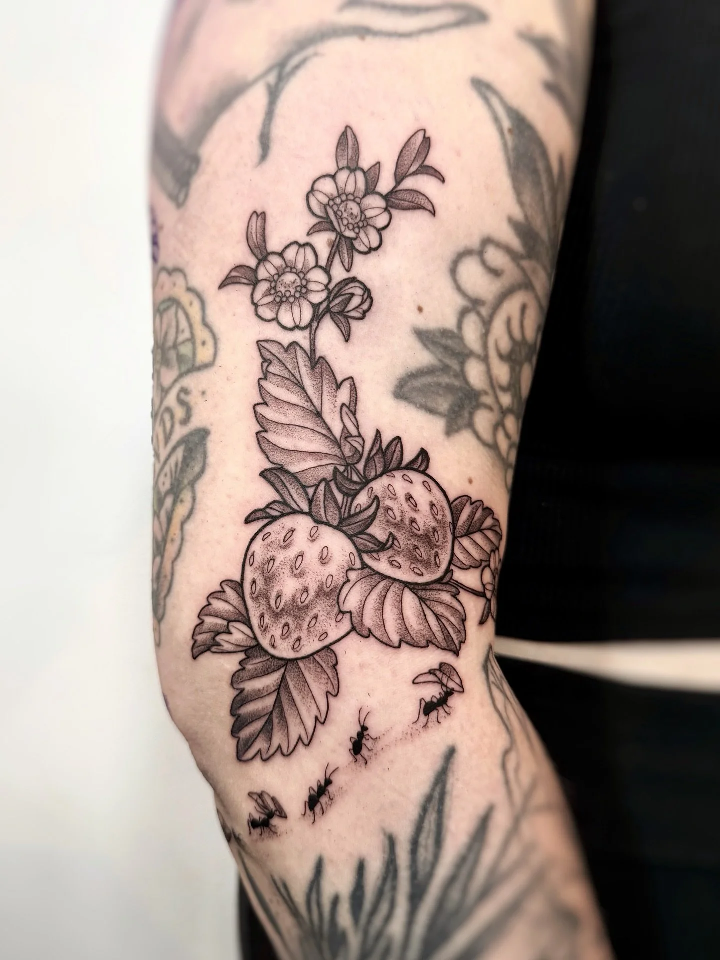 Sorry if I never got around to posting your tattoo over the years! I often edit and prepare photos so they&rsquo;re ready to post, and then work and life get in the way and I completely forget about them. Months later, I end up rediscovering them whi