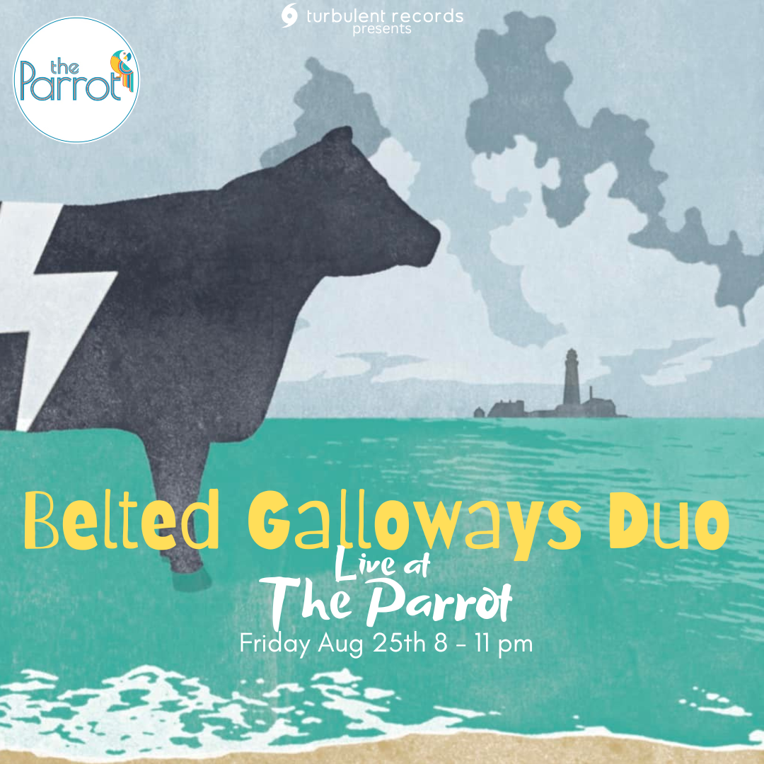 belted galloways at The Parrot Fri Aug 25th.png